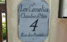 Les Camelias