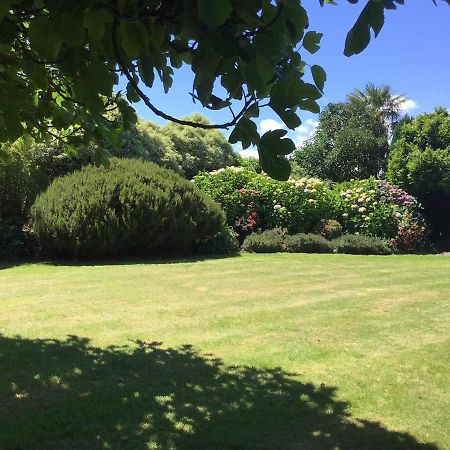 Les Camelias Bed and Breakfast Binic Esterno foto