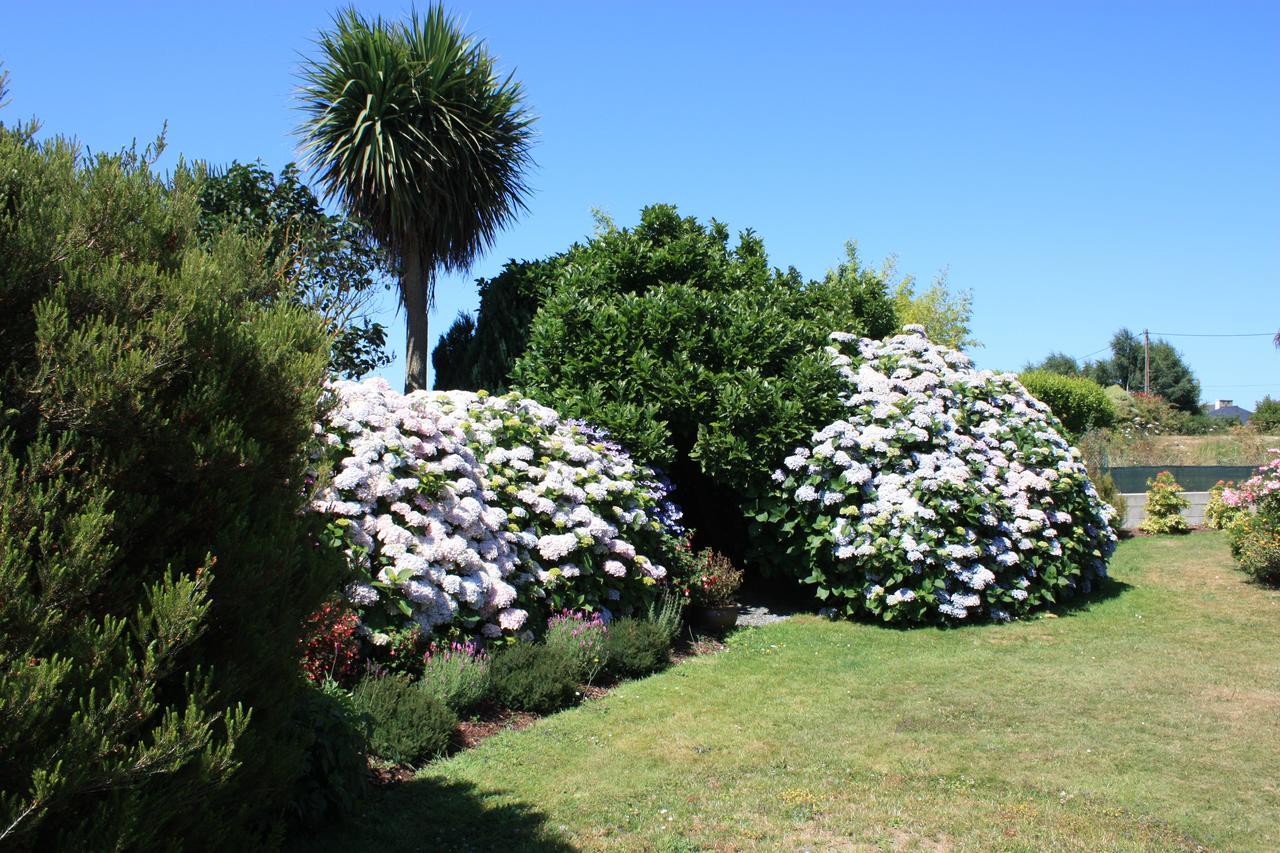 Les Camelias Bed and Breakfast Binic Esterno foto